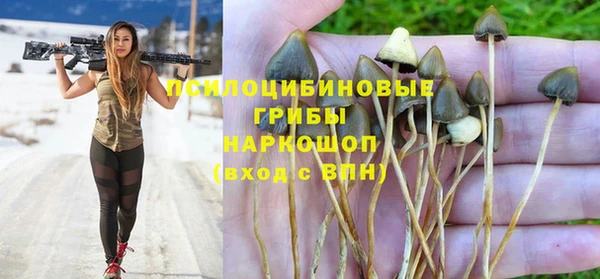 соль курить ск Надым
