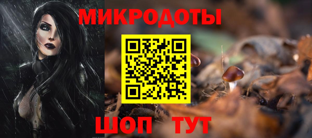 Псилоцибиновые грибы Psilocybe Невинномысск