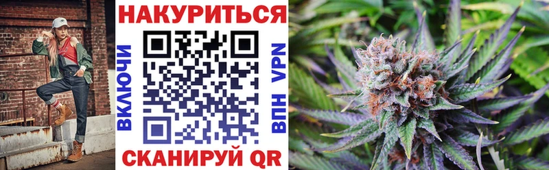дарк нет телеграм  Невинномысск  Бошки марихуана план 